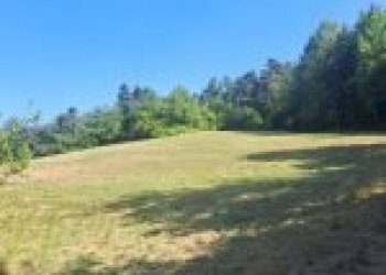 Agricultural land Canelli - photo 20