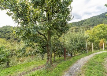 Casa semi indipendente Via Comba Carle, 31, Barge - foto 27