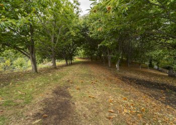 Casa semi indipendente Via Comba Carle, 31, Barge - foto 33