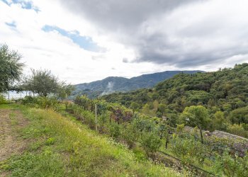 Casa semi indipendente Via Comba Carle, 31, Barge - foto 40