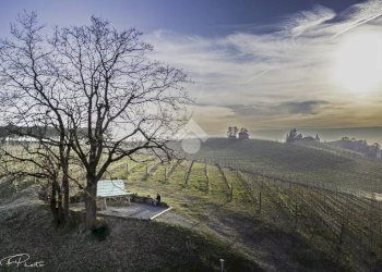 Casa semi indipendente Via Marconi, Fontanile - foto 19