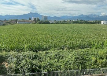 Appartamento VIA PONTECHIANALE, 14/C, Cuneo - foto 22