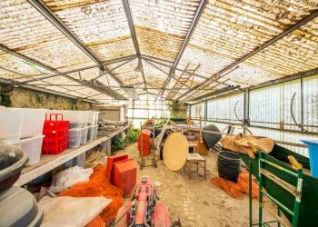 Foto 42 - Azienda agricola via Don Scarrone, Finale Ligure - foto 42