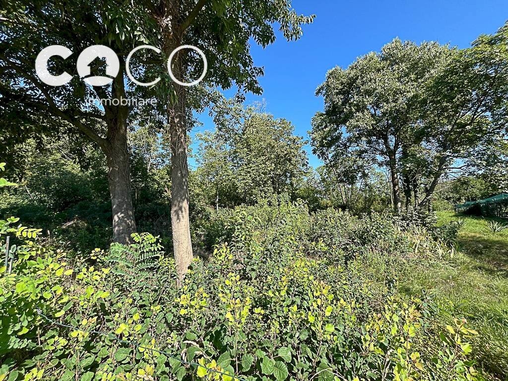 Foto 3 - Building land Sagrado - photo 3