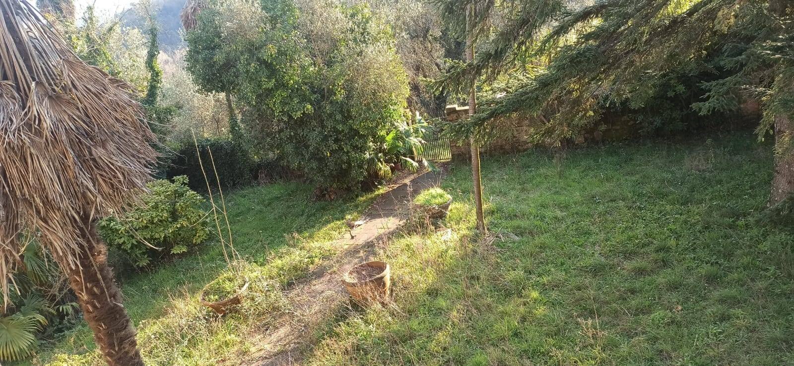 Foto 3 - Rustico via  torre, Lucca - foto 3