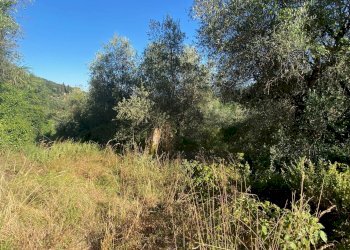 Foto 8 - Rustico via  torre, Lucca - foto 8