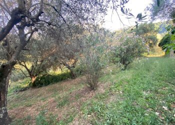 Foto 10 - Rustico via  torre, Lucca - foto 10