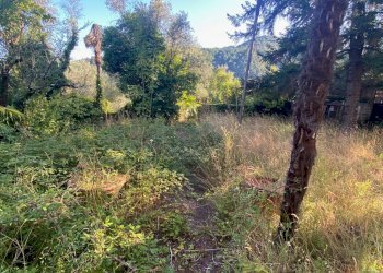 Foto 19 - Rustico via  torre, Lucca - foto 19