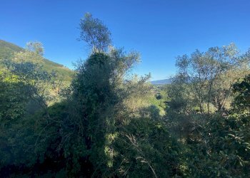 Foto 30 - Rustico via  torre, Lucca - foto 30