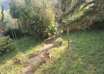 Foto 3 - Rustico via  torre, Lucca - foto 3