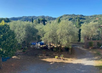 Foto 22 - Rustico via  torre, Lucca - foto 22