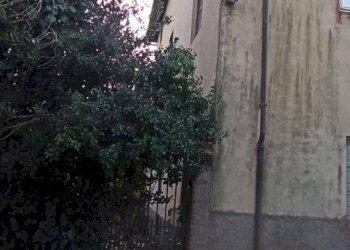 Foto 44 - Rustico via  torre, Lucca - foto 44