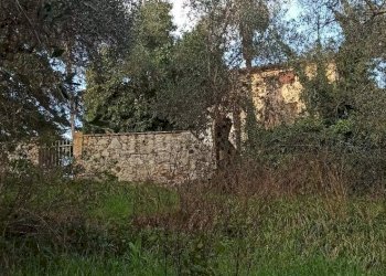 Foto 45 - Rustico via  torre, Lucca - foto 45