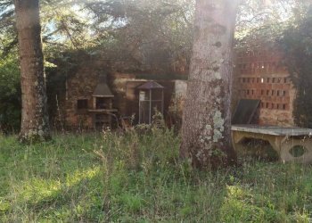 Foto 46 - Rustico via  torre, Lucca - foto 46