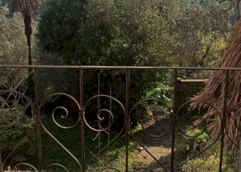 Foto 47 - Rustico via  torre, Lucca - foto 47