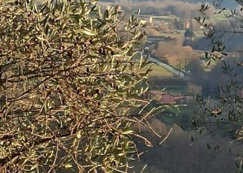 Foto 48 - Rustico via  torre, Lucca - foto 48