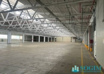 Foto 14 - Capannone via fantoli, Milano - foto 14