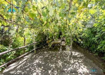 Foto 55 - Villa via dei cappuccini, Collevecchio - photo 55