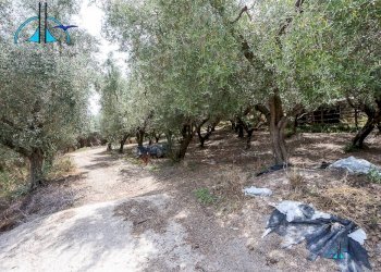 Foto 101 - Villa via dei cappuccini, Collevecchio - photo 101