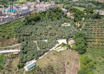 Foto 137 - Villa via dei cappuccini, Collevecchio - photo 137