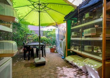 Terrazza - Trilocale VIA BETTINETTI
 
45, Rho - foto 6