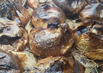 Non correlato - Attività Commerciale Via Trieste
 
73, Catania - foto 21