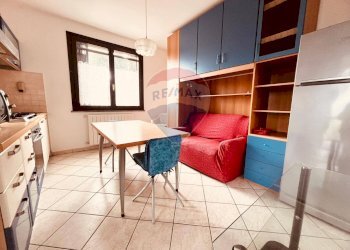 Cucina - Casa indipendente Montescudaio - foto 5