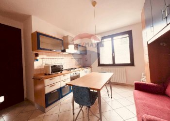 Cucina - Casa indipendente Montescudaio - foto 8