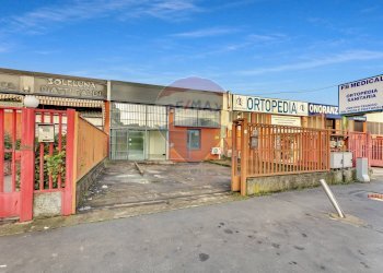 ingresso - Commercial Premises Via Umbria
 
20, Pieve Emanuele - photo 21