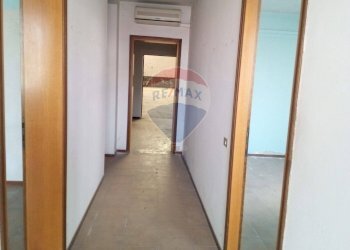 Hall / corridoio - Capannone Casalmaggiore - foto 3