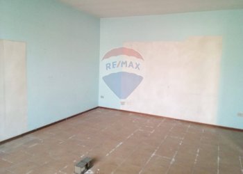 Stanza vuota - Capannone Casalmaggiore - foto 5