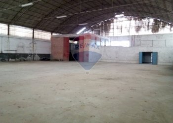 Parcheggio - Capannone Casalmaggiore - foto 12