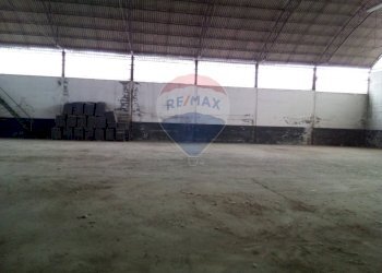 Parcheggio - Capannone Casalmaggiore - foto 14