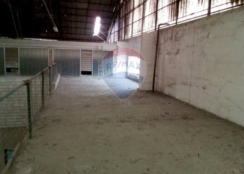 Parcheggio - Capannone Casalmaggiore - foto 19