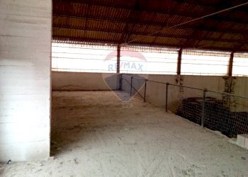 Parcheggio - Capannone Casalmaggiore - foto 20