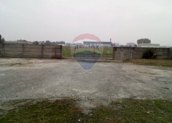 Non correlato - Capannone Casalmaggiore - foto 22