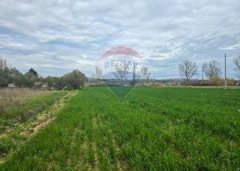 Giardino - Terreno edificabile via michelangelo, Cappelle sul Tavo - foto 5
