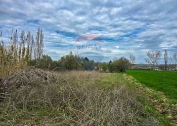 Giardino - Terreno edificabile via michelangelo, Cappelle sul Tavo - foto 12