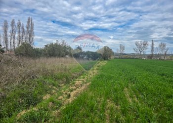 Giardino - Terreno edificabile via michelangelo, Cappelle sul Tavo - foto 15