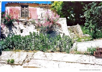 Giardino - Rustico VIA ESTERNA SAN NICOLA, Monreale - foto 6