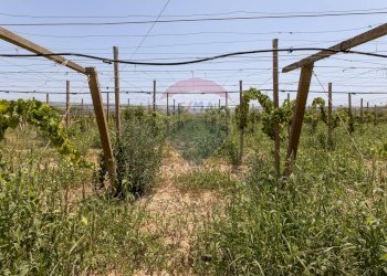 Giardino - Villa Contrada Senia
 
17, Comiso - foto 49