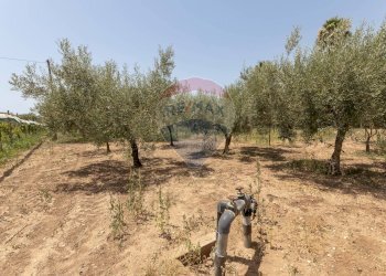 Giardino - Villa Contrada Senia
 
17, Comiso - foto 50