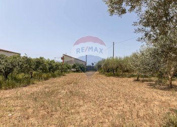 Giardino - Villa Contrada Senia
 
17, Comiso - foto 51