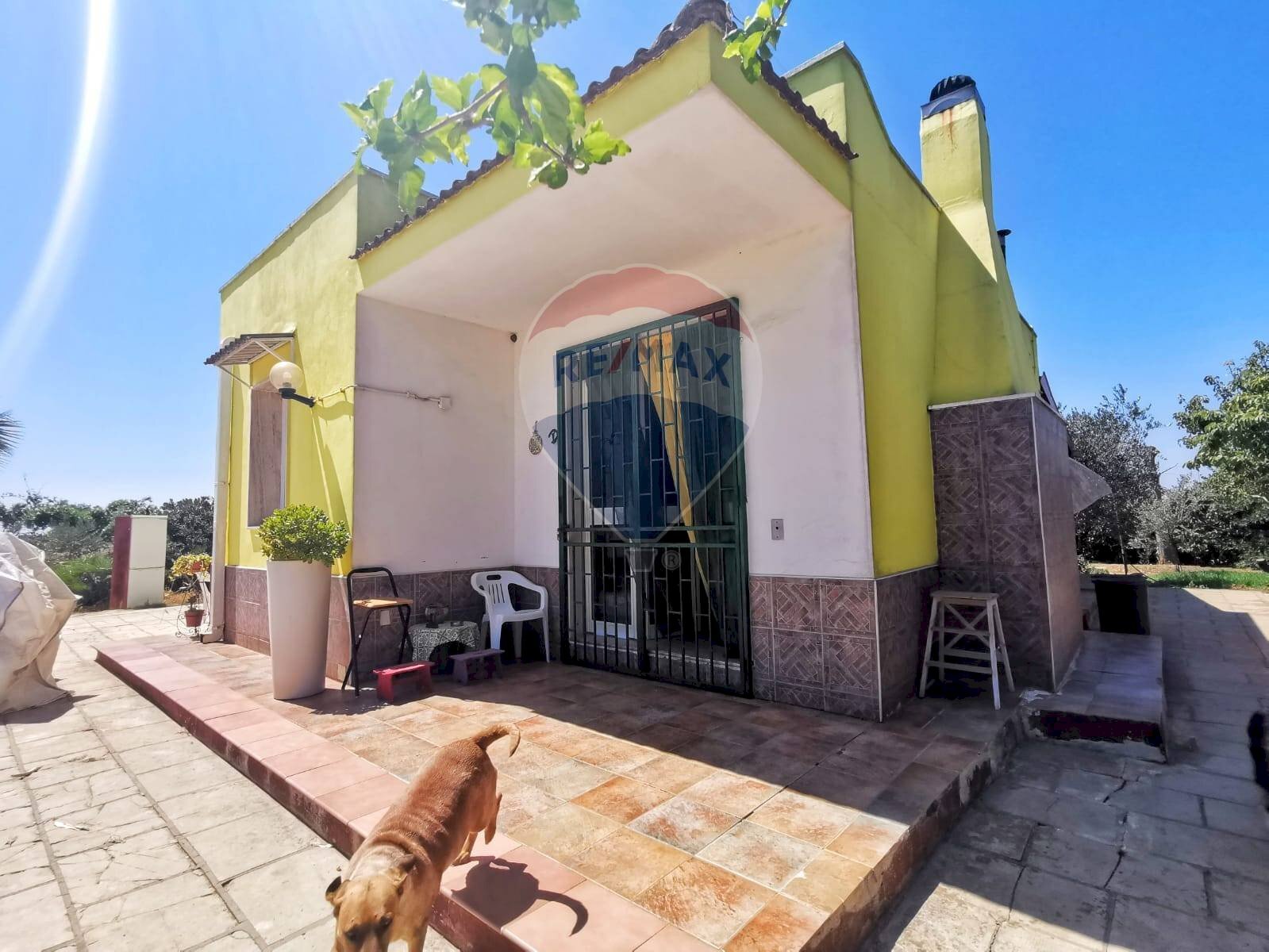 Terrazza - Casa indipendente Contrada Case Sparse, San Pietro Vernotico - foto 1