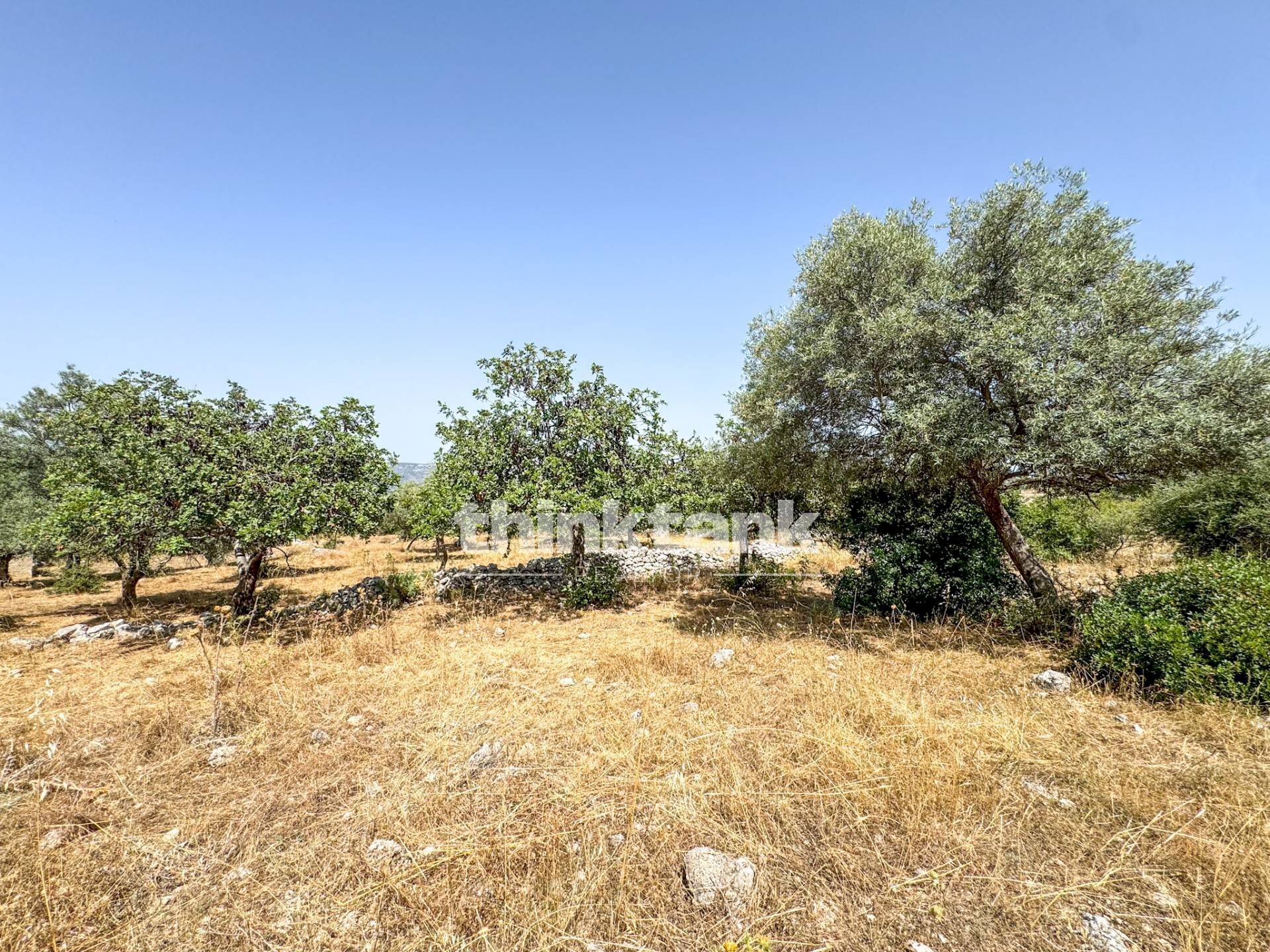 Foto 2 - Terreno agricolo Strada Statale 124, Solarino - foto 2