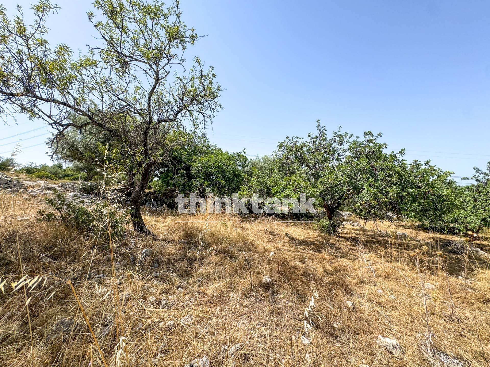 Foto 3 - Terreno agricolo Strada Statale 124, Solarino - foto 3