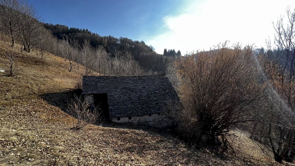 Terreno - Rustico Craveggia - foto 2