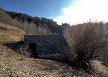 Terreno - Rustico Craveggia - foto 2