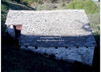 Terreno - Rustico Craveggia - foto 9