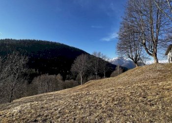 Terreno - Rustico Craveggia - foto 13